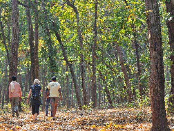 Central India holiday, trekking and culture