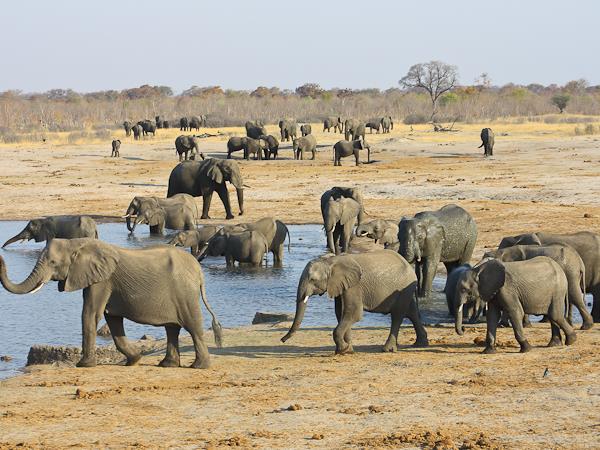 Malawi, Zambia and Zimbabwe expedition