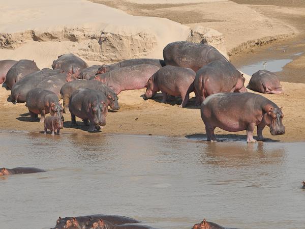Malawi, Zambia and Zimbabwe expedition