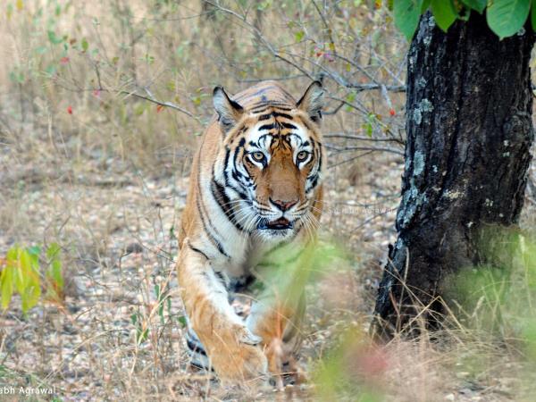 Central India holiday, trekking and culture