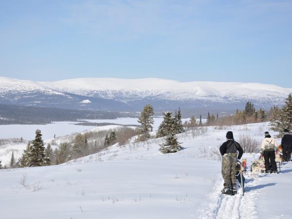 Yukon dog sledding holiday, Canada
