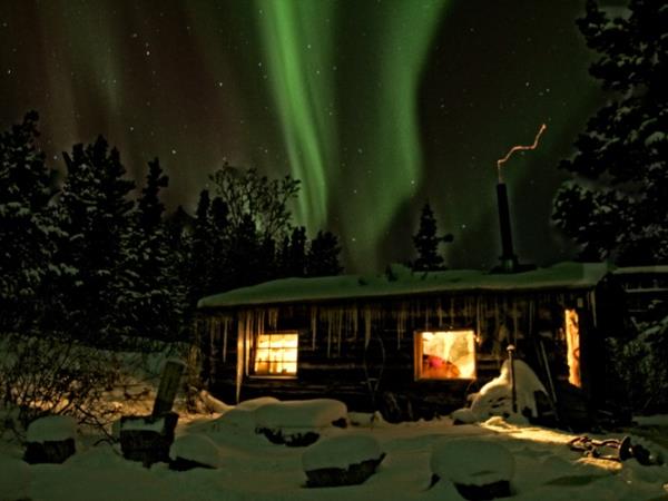 Yukon dog sledding holiday, Canada