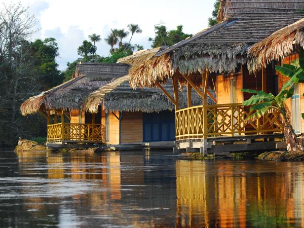 Brazil wildlife holiday, Amazon and Pantanal