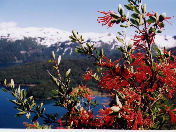 Self drive Patagonia holiday including Mapuche culture