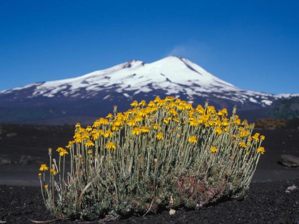 Self drive Patagonia holiday including Mapuche culture