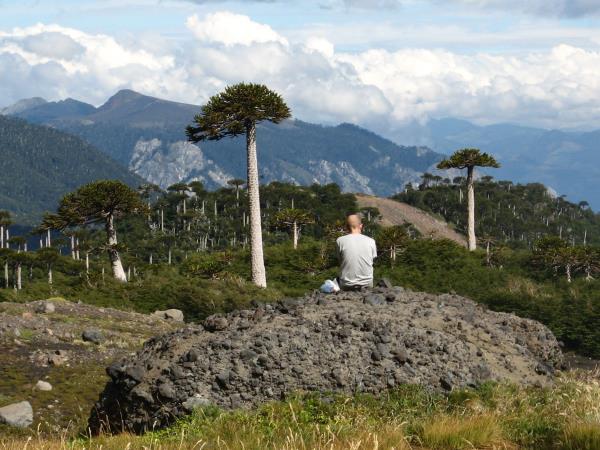 Self drive Patagonia holiday including Mapuche culture