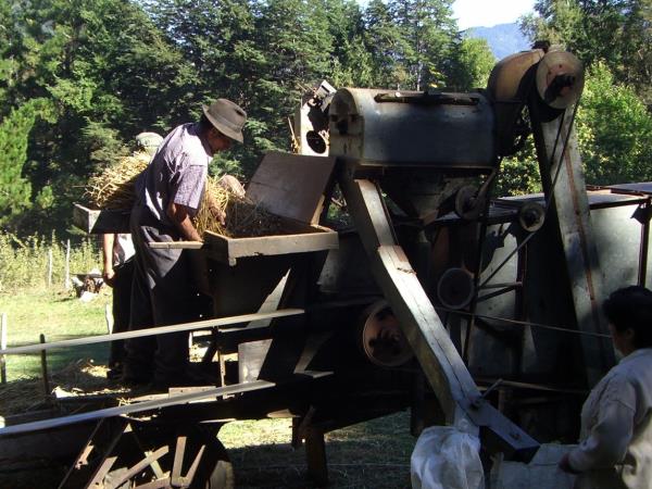 Self drive Patagonia holiday including Mapuche culture