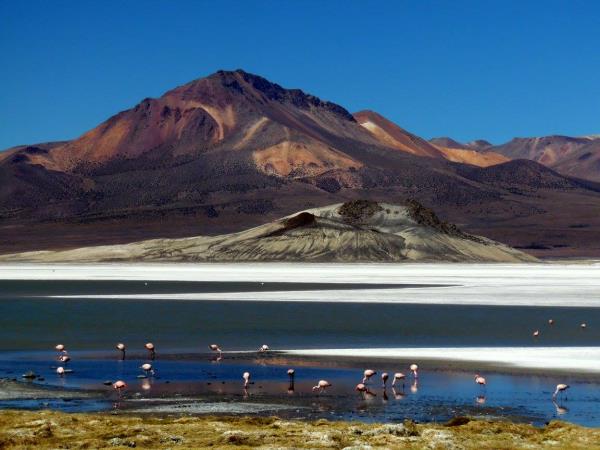 Atacama Desert holiday in Chile and Bolivia