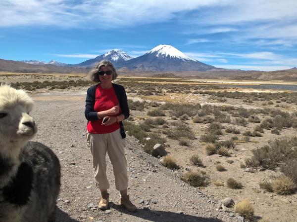 Atacama Desert holiday in Chile and Bolivia