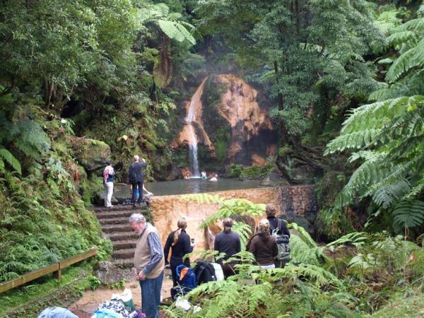 Azores family adventure holiday, whales and dolphins