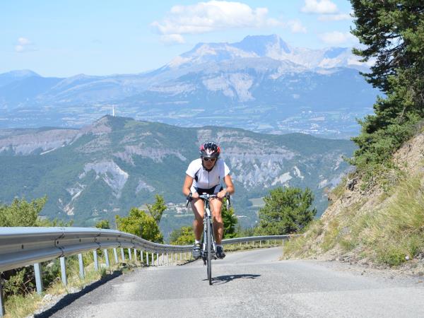 suspension xcm