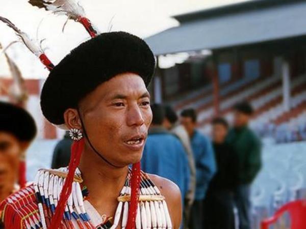 Nagaland Hornbill festival & Kaziranga NP tour, India