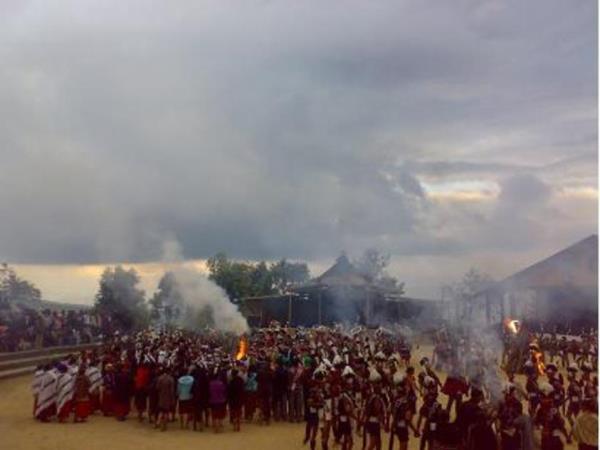 Nagaland Hornbill festival & Kaziranga NP tour, India