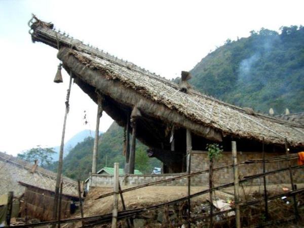 Nagaland Hornbill festival & Kaziranga NP tour, India