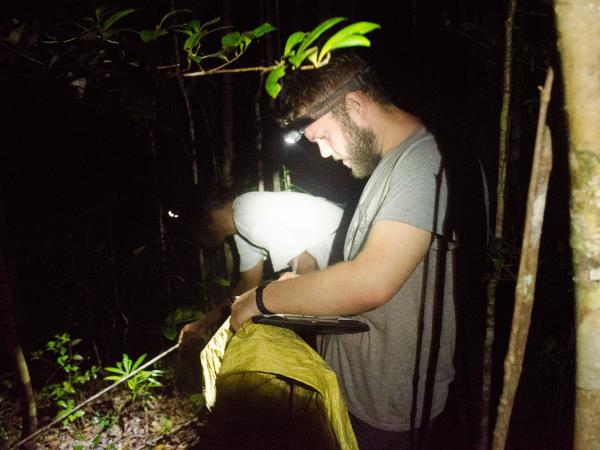 Lemur conservation project in Madagascar