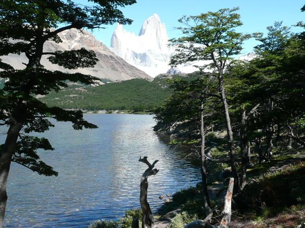 Patagonian glaciers holiday with ice trekking