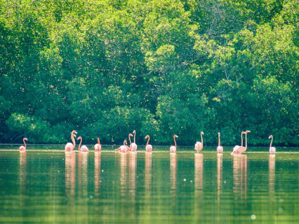 National Parks of Cuba walking holiday