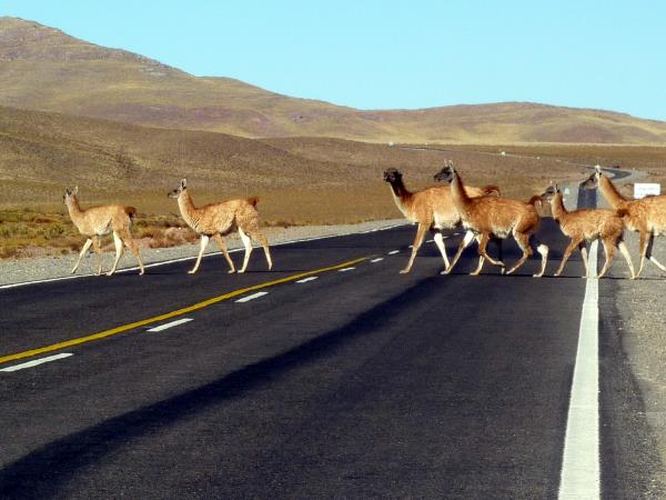North west Argentina holiday, tailor made