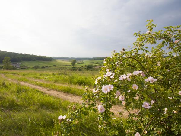 Northern Hungary luxury villas