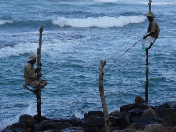 Best of Sri Lanka 21 day holiday
