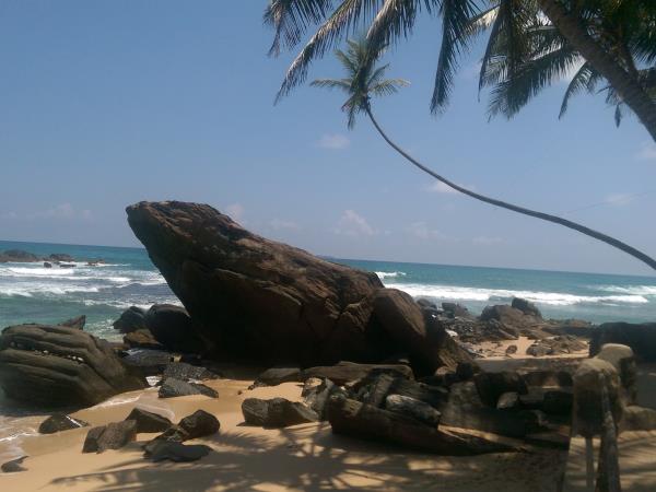 Best of Sri Lanka 21 day holiday