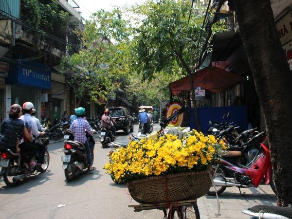 Vietnam discovery tour