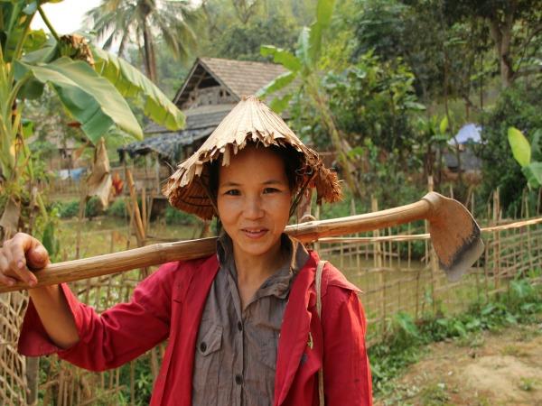 Vietnam discovery tour