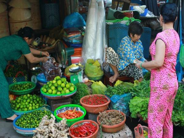 Vietnam discovery tour