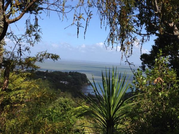 New Zealand conservation volunteering