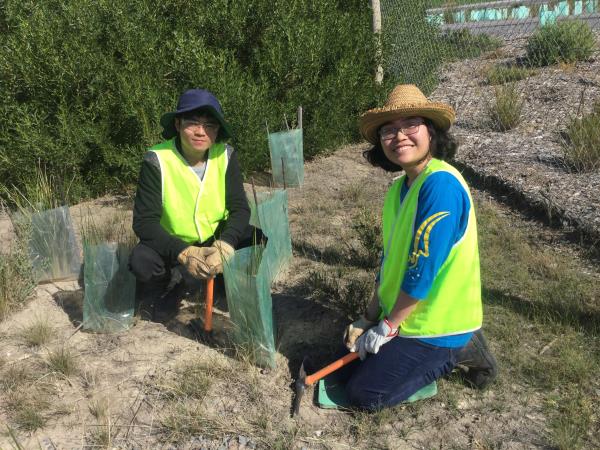 New Zealand conservation volunteering