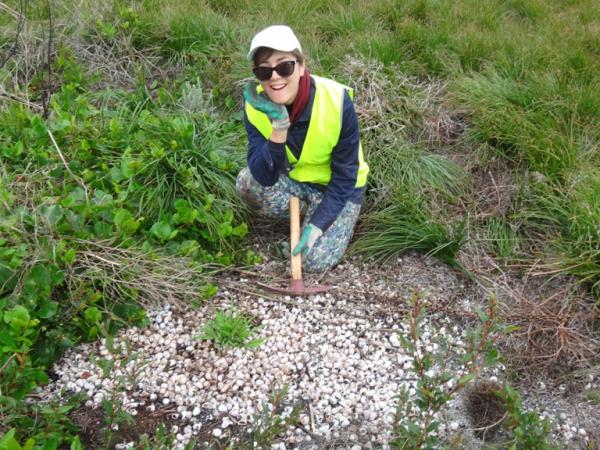 New Zealand conservation volunteering