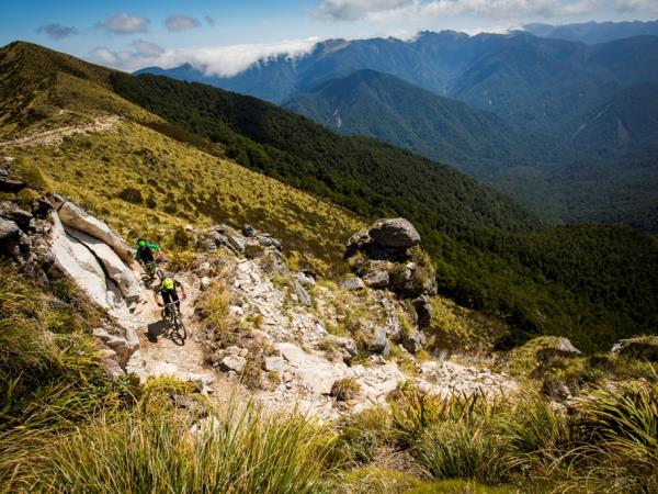 New Zealand conservation volunteering