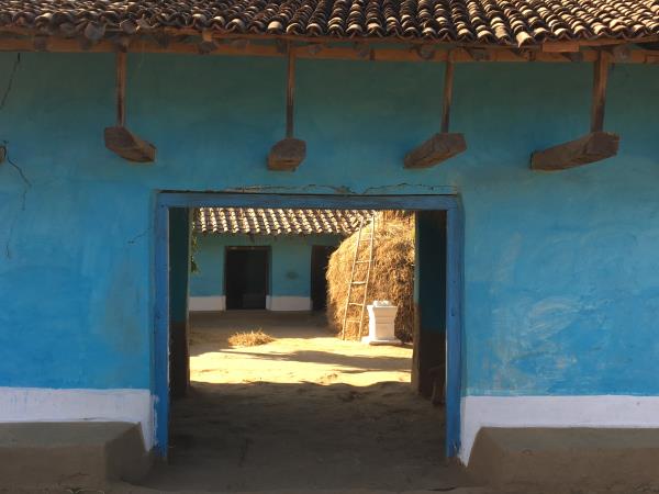 Kanha tiger safari & cycling tour, India
