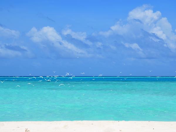 Maldives tour, culture and people