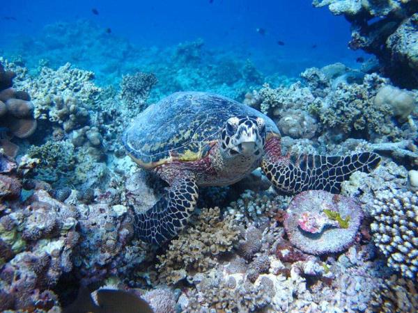 Maldives tour, culture and people