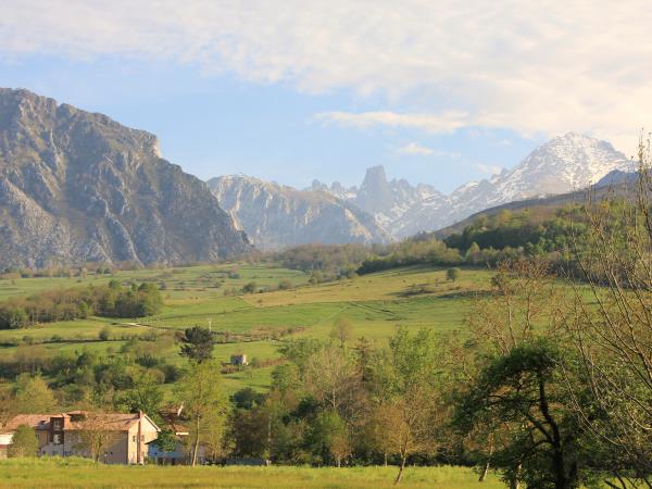 Learn Spanish and walk the Camino de Santiago, Spain