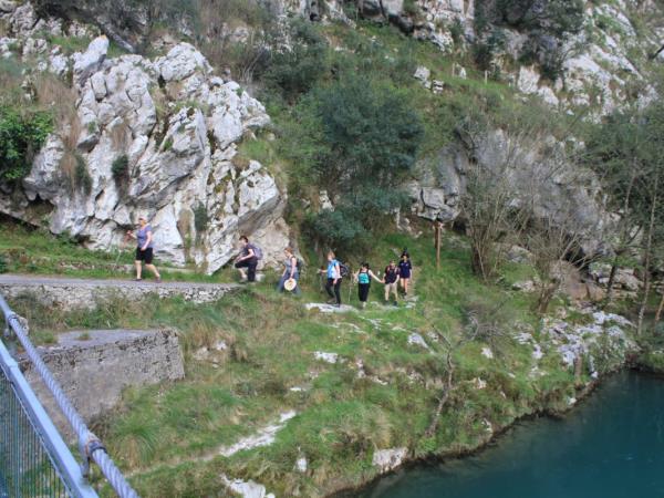 Learn Spanish and walk the Camino de Santiago, Spain