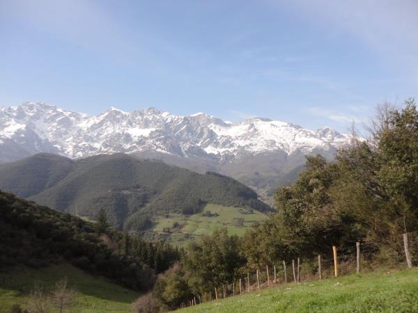 Learn Spanish and walk the Camino de Santiago, Spain