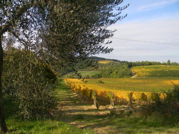 Tuscany walking holiday, Italy