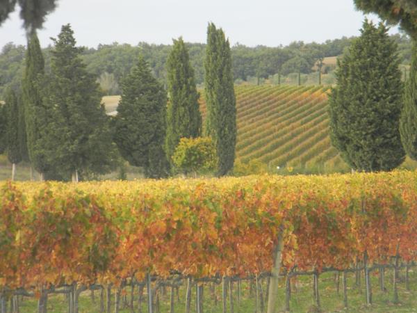Tuscany walking holiday, Italy
