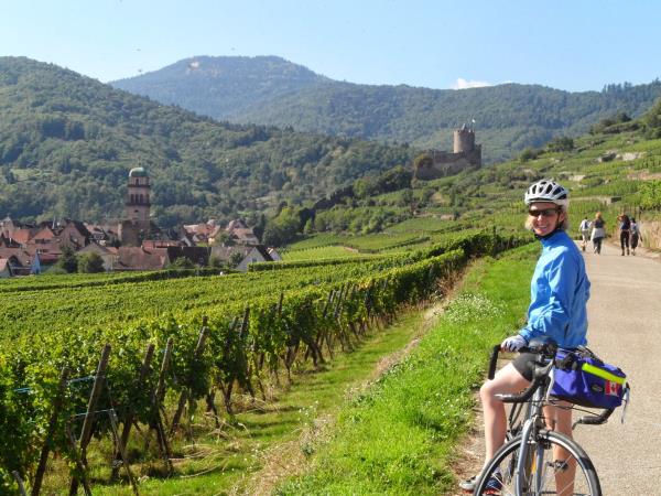 Alsace cycling holiday in Northern France