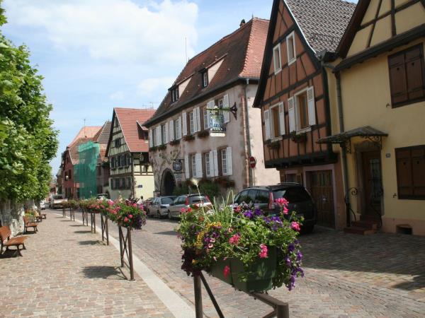 Alsace cycling holiday in Northern France