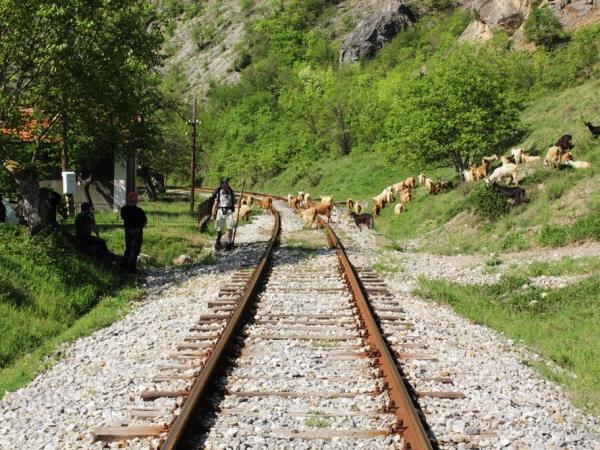 Bulgaria holiday by train