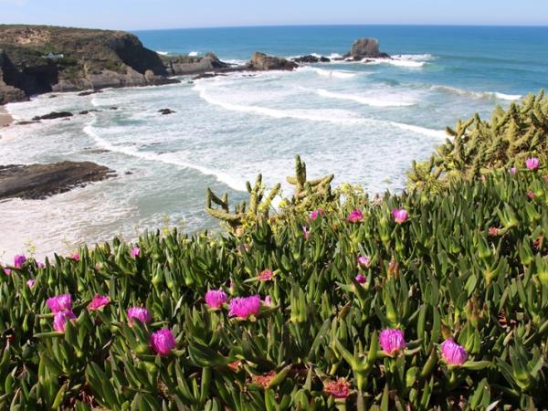 Alentejo self guided walking holiday, Portugal