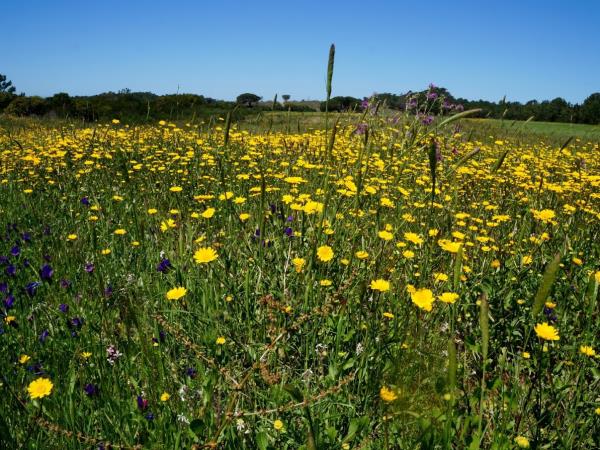 Alentejo & Algarve self guided walking holiday, Portugal