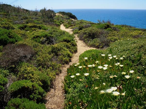 Alentejo & Algarve self guided walking holiday, Portugal