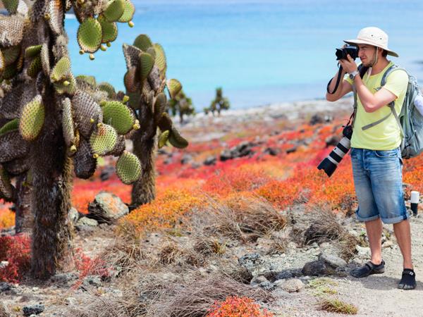 Galapagos & Ecuador tailor made holiday