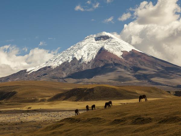 Galapagos & Ecuador tailor made holiday