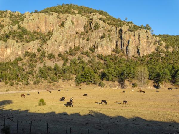 Copper Canyon to Baja Coast in Mexico, rail and beach holiday