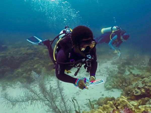 Caribbean coral reef conservation in Carriacou